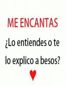 te amo mi vida