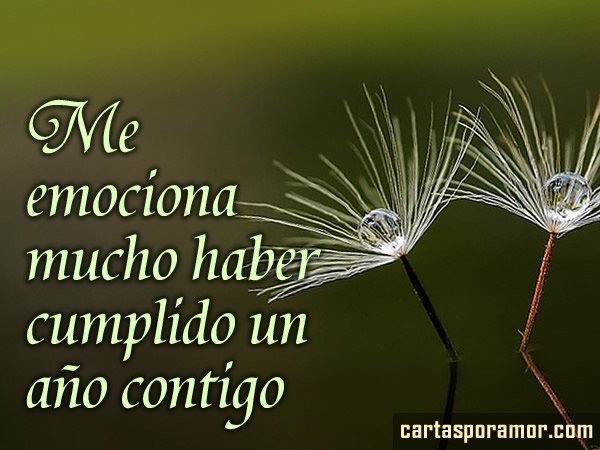 Frases y dedicatorias de aniversario para mi novia