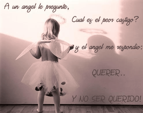 Angel querido