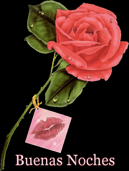 Besos de rosa