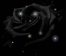 Universo de rosas
