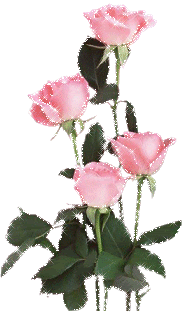 Brillantes rosas