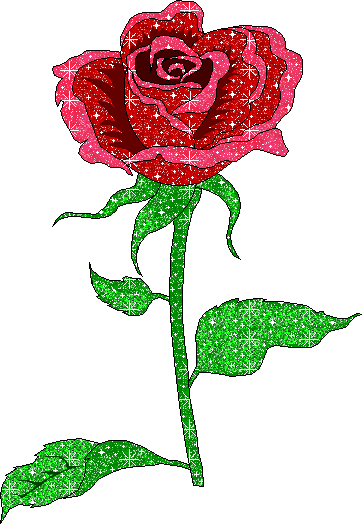 imágenes de rosas para enamorar a alguien